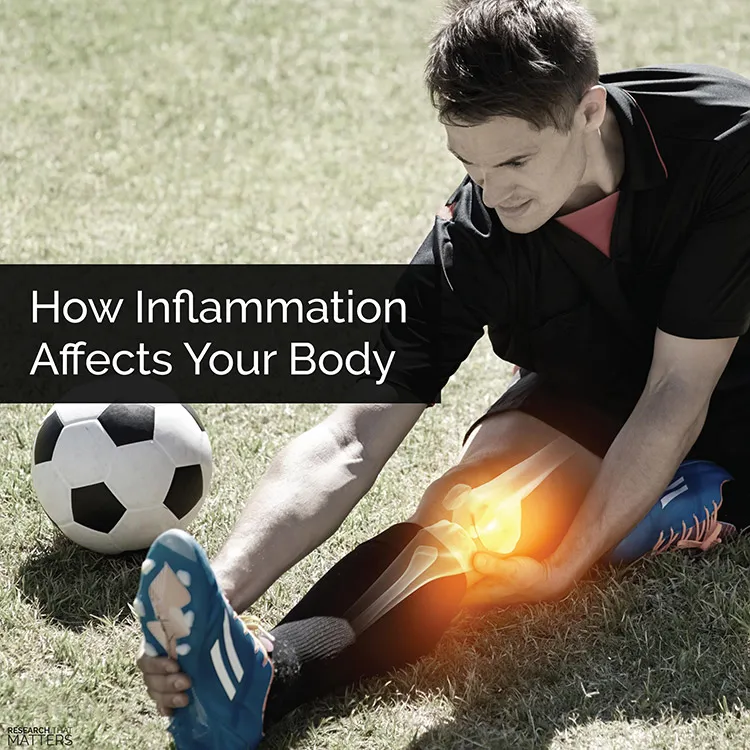 Chiropractic Ellicott City MD How Inflammation Affects Your Body